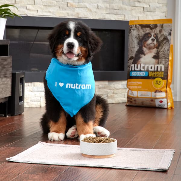 Nutram photo